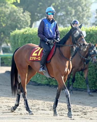 【府中牝馬S・浅子の特注馬】ミアネーロは発馬次第で変身可能　あの決め手なら東京替わりもプラス
