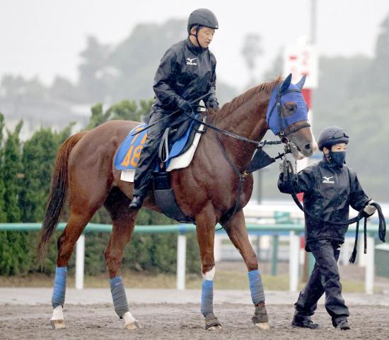 【しらさぎS・イシゴーの特注馬】2連勝中ダイシンヤマトは重賞でも楽しみ　初の関西圏輸送がカギに