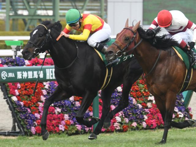 【先週のJRA抹消馬】23年阪急杯覇者アグリ、重賞2着4回のマイネルウィルトスなど