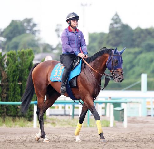 【しらさぎS・山下の特注馬】マイルで真価を発揮するレーベンスティール　