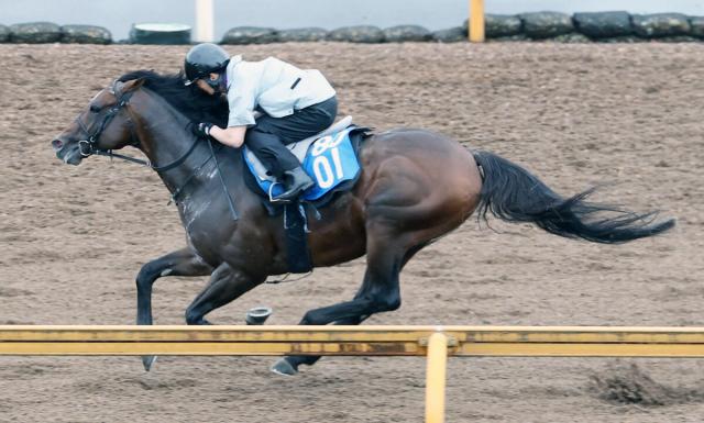 【しらさぎS・理貴の特注馬】新味が出たラケマーダに期待　展開が向けば前走の再現ある