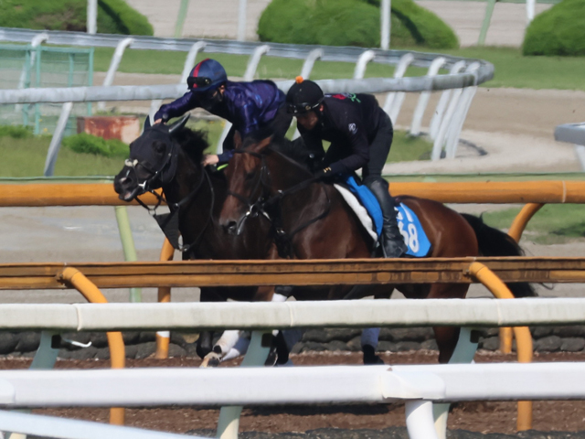 半兄はジャンタルマンタル ウンナターシャが土曜東京のダートで初陣/関西馬メイクデビュー情報
