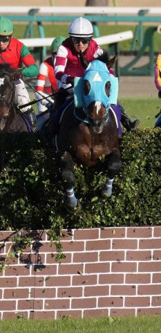 【顕彰馬選定】オジュウチョウサンは殿堂入りならず…117票を集めるも2票足りず