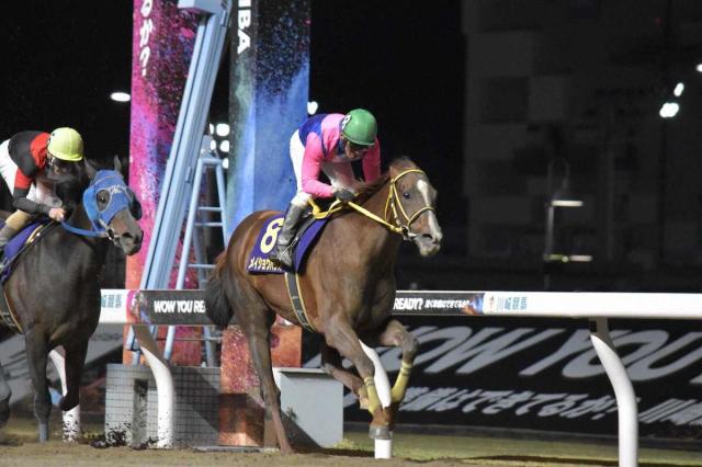 【大井競馬　7月2日発走　帝王賞選定馬発表】当レース3V狙うメイショウハリオなどがエントリー
