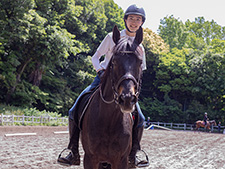 学習院大学馬術部で活躍するペルセウスシチー(c)netkeiba