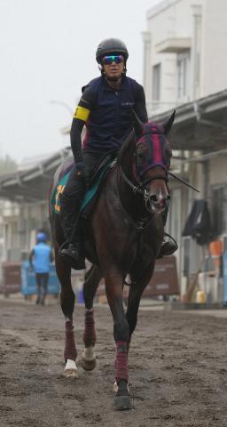 【東京新馬戦】モノポリオ　瞬発力秘める　きょうだい全7頭3戦目までに勝利