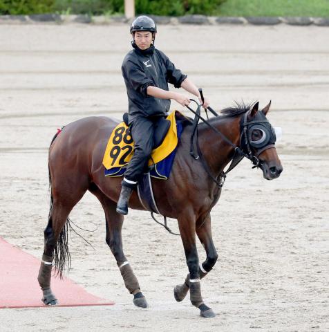 【府中牝馬S】タガノエルピーダは54キロで期待十分　斉藤崇調教師「左回りでもしっかりと走っていますから」