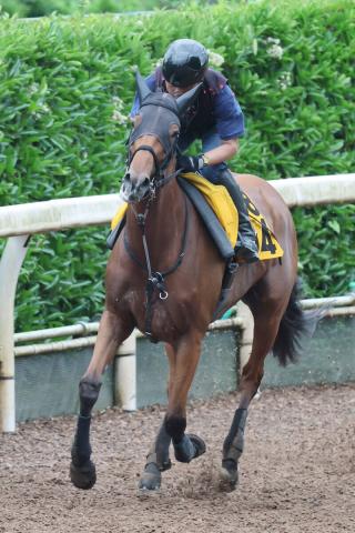 【府中牝馬S】食欲もあって元気なセキトバイースト　四位調教師「カイバも普段より食べている感じ」