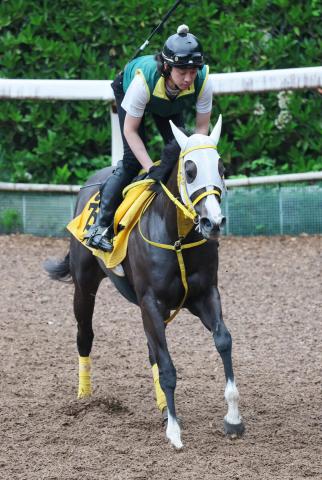 【府中牝馬S】ウインエーデルがCWコースで追い切る　吉田調教師「準備万端ですよ」4走前Vの舞台で重賞挑戦