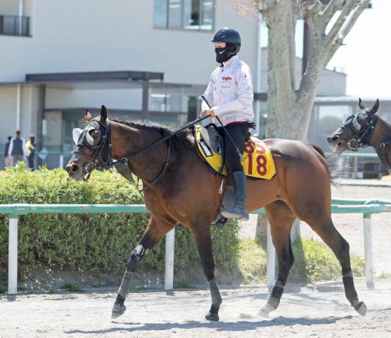 【府中牝馬S】アスコルティアーモは53キロでひと押しを利かす　荻野極騎手「変わってきてくれれば」