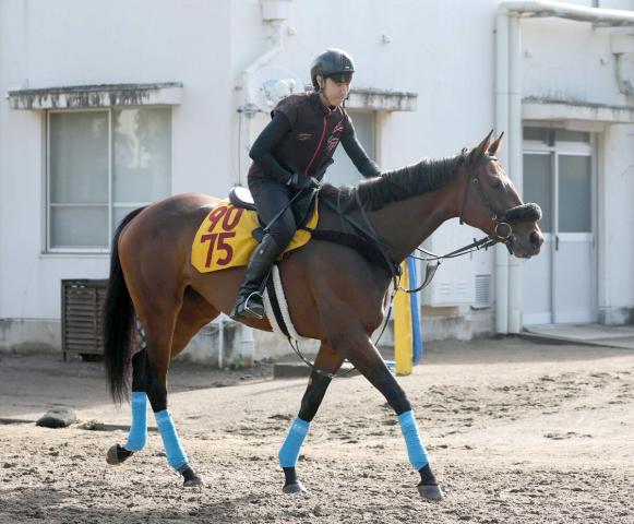 【府中牝馬S】フィールシンパシーは重賞初制覇へ虎視眈々　小島調教師「ここを目標にやってきた」