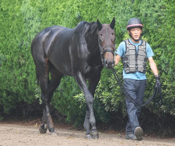 【府中牝馬S】ポテンシャルはトップクラスのカニキュル　52キロを味方に重賞初制覇だ　菊沢調教師「舞台はいい」
