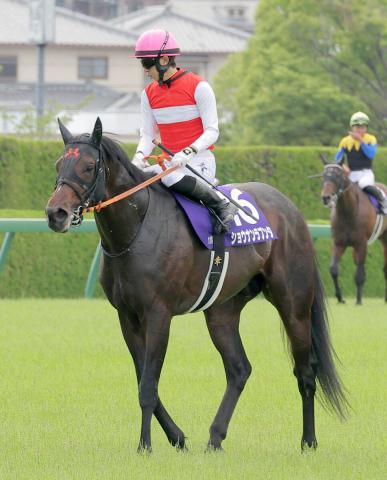 【古馬・注目馬動向】宝塚記念4着のショウナンラプンタは京都大賞典を視野　ナムラクレアは予定通りスプリンターズSへ
