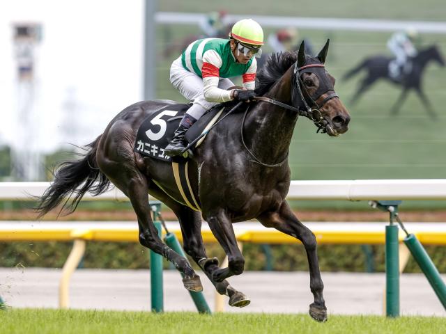 【府中牝馬S予想オッズ】カニキュルが予想1番人気
