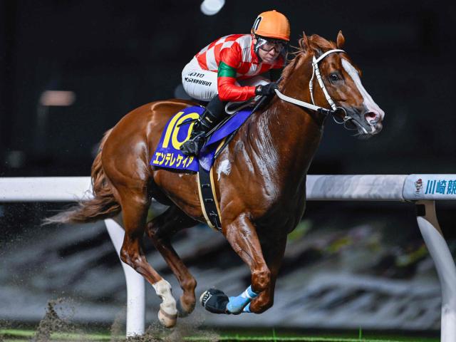 【川崎・川崎スパーキングスプリント結果】エンテレケイアが逃げ切って重賞4勝目を挙げる