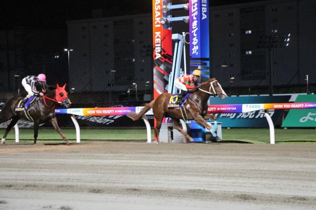 【川崎競馬・川崎スパーキングスプリント】エンテレケイアが人気に応え快勝　重賞4勝目