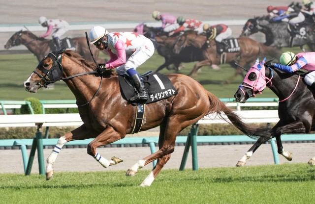 【しらさぎS】マイル戦連勝中の5歳馬ダイシンヤマト