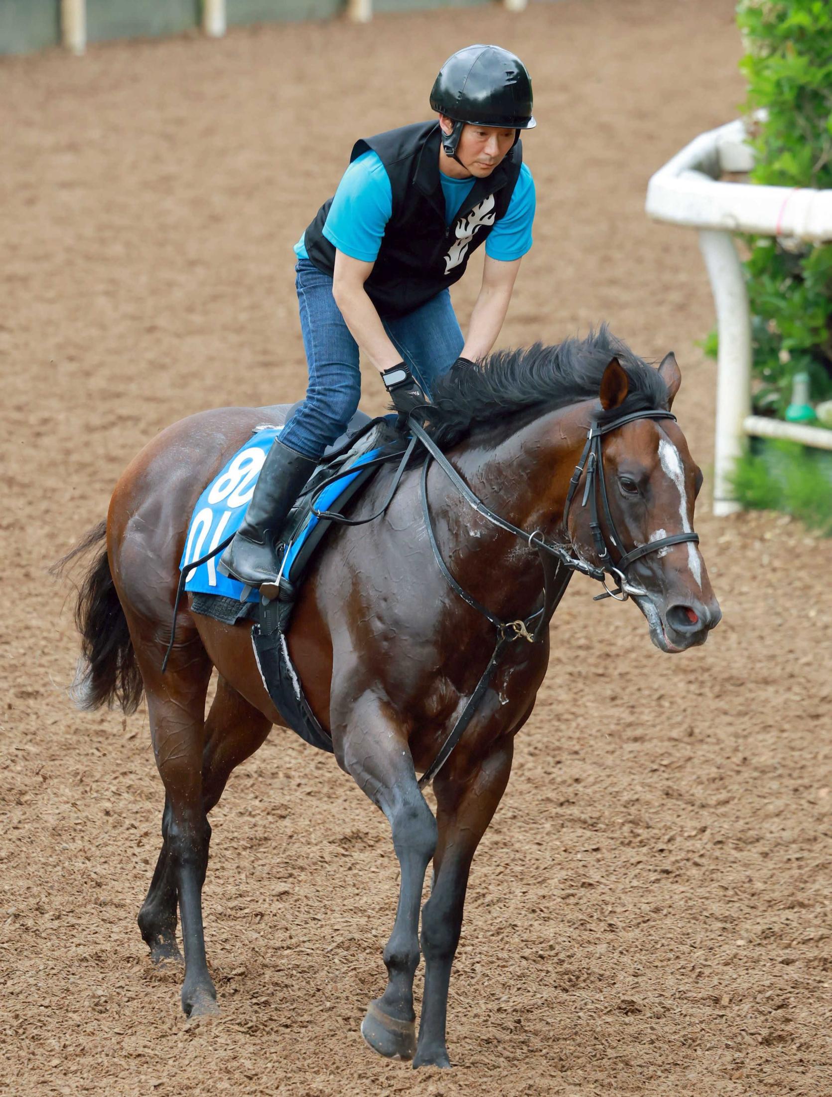 【しらさぎＳ】ラケマーダ　豪脚披露　充実一途の５歳馬が重賞初タイトル奪取へ　中２週で参戦も千田師は上昇ムード強調