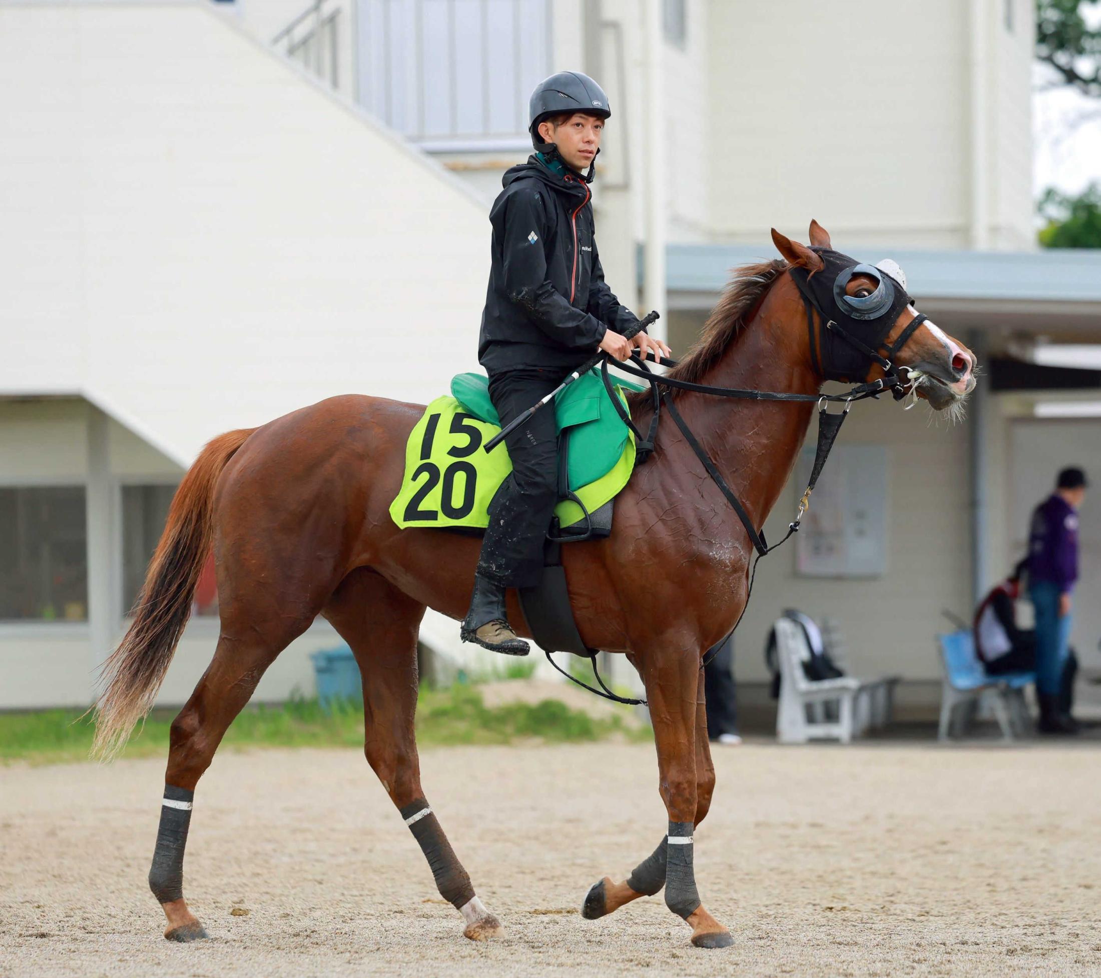 【新馬戦】フェスティバルヒル　皐月賞馬ミュージアムマイルの半妹　四位師開口一番「言うことない」ポテンシャルの高さに期待