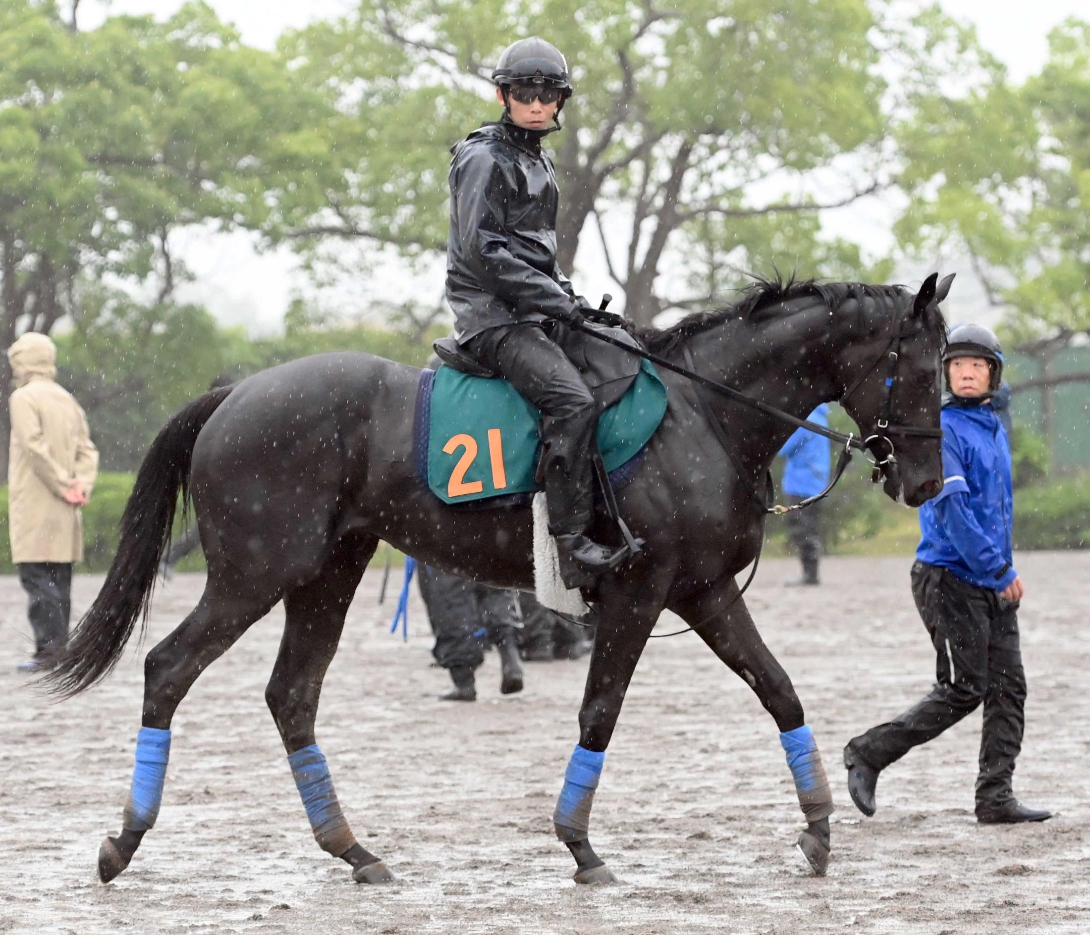 【新馬戦】チャリングクロス　兄はダービー馬クロワデュノール　奥村武師も良血に期待「身体能力が高い」