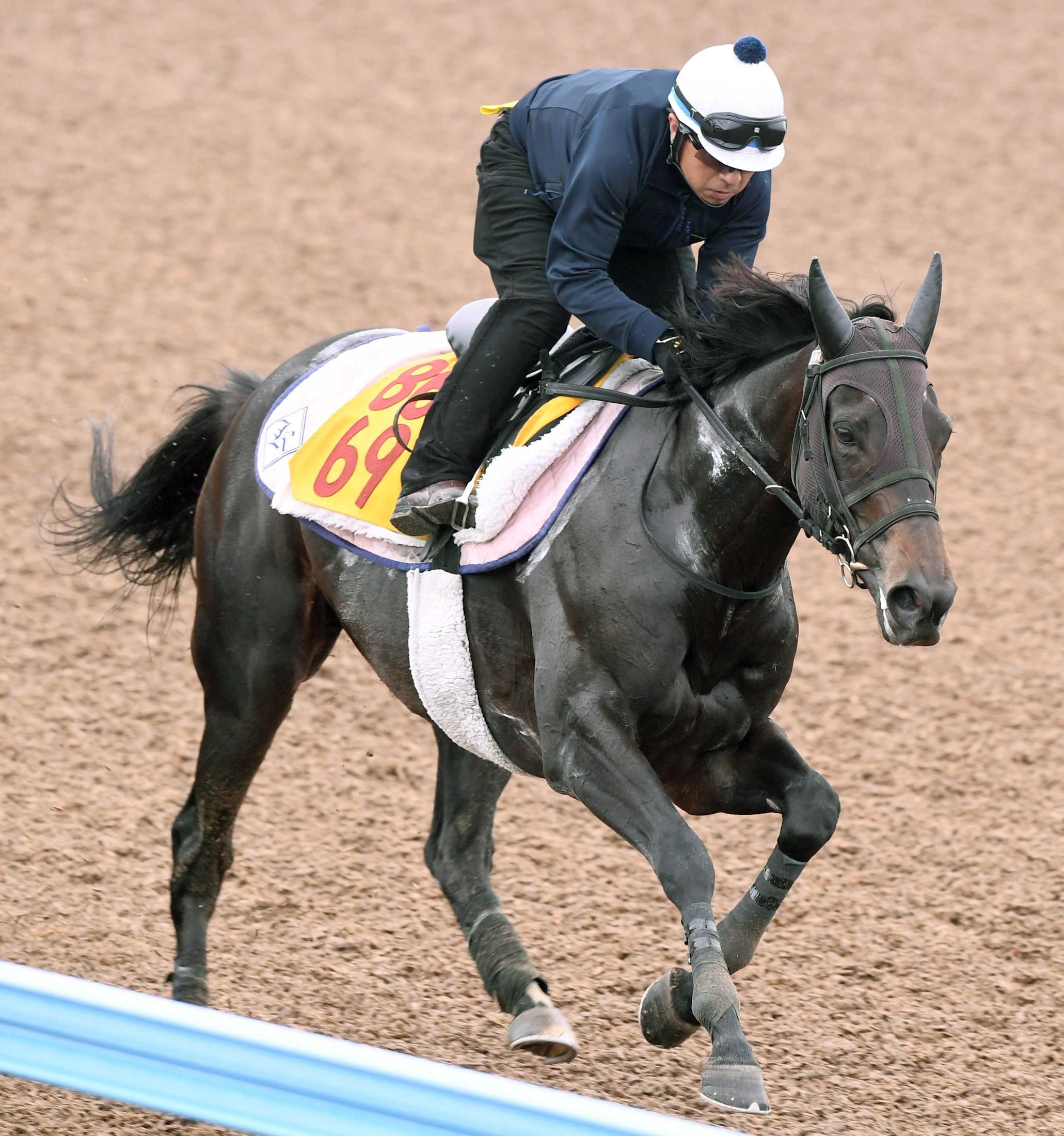 【府中牝馬Ｓ】カニキュル　４度目重賞挑戦今度こそ　前走初マイルで才能開花　菊沢師「気持ちと体のバランスが取れてきた」