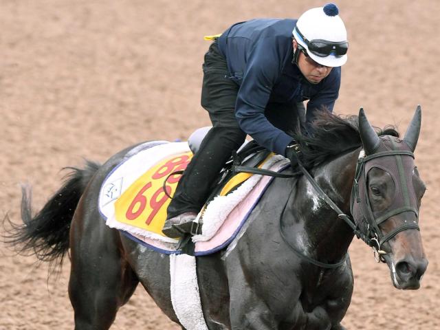 【府中牝馬Ｓ】カニキュル　４度目重賞挑戦今度こそ　前走初マイルで才能開花　菊沢師「気持ちと体のバランスが取れてきた」