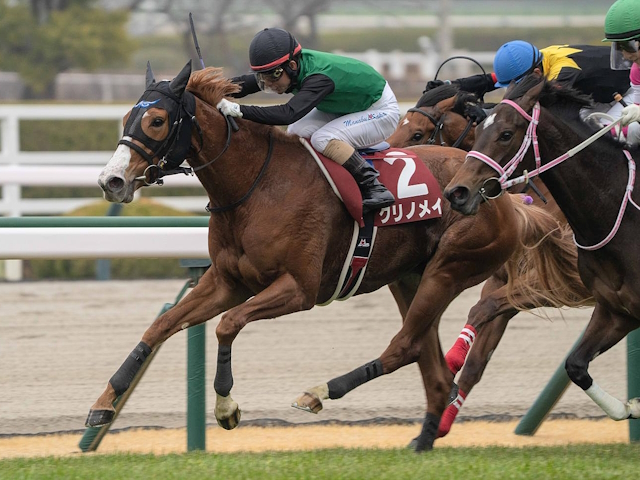【川崎・関東オークス注目馬】3歳牝馬の頂点決する“砂のオークス” チューリップ賞覇者クリノメイなどが参戦