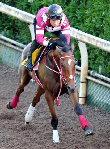 【府中牝馬S】出来絶好のラヴェルは好走へ天気がカギ　陣営「良馬場が条件になる」
