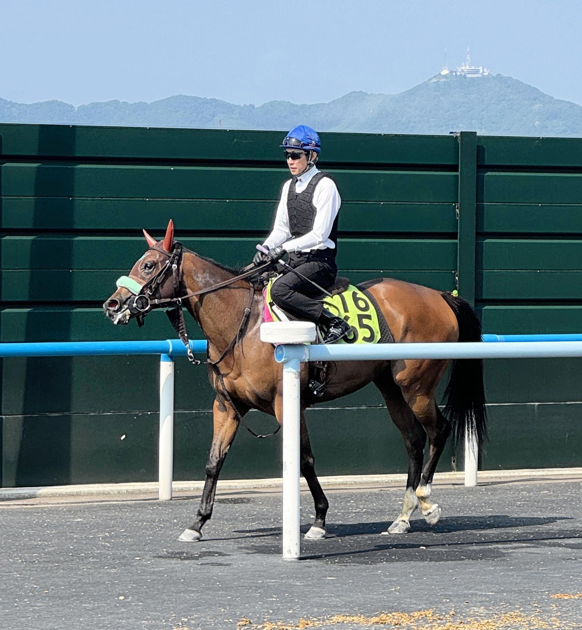 メイショウタバルで宝塚記念Ｖの武豊が函館競馬場で調教騎乗　レース振り返り「やっぱり折り合いって大事」としみじみ