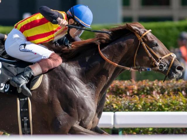 【スレイプニルS】人気馬苦戦のダート戦 8枠の複勝率は42％
