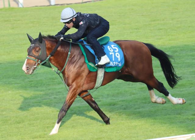 【函館記念1週前】中山金杯の勝ち馬アルナシームは着実に良化　藤岡佑介騎手「順調に上向いている」