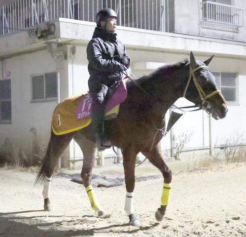 昨年の2歳ダート女王ミリアッドラヴが競走馬登録抹消　函館スプリントSレース中に急性心不全