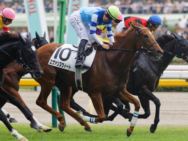 【STV杯】きょうだいにGI馬3頭 「大魔神」の良血馬がガラリ一変で3勝目なるか