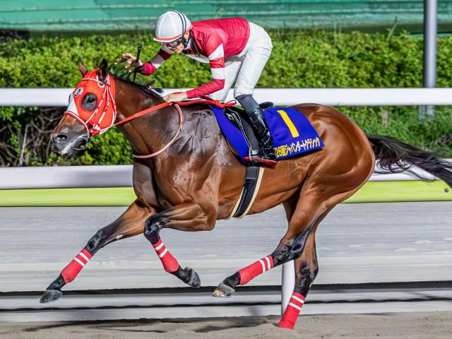 半兄はフォーエバーヤング ダーリングハーストが芝マイルでデビュー勝ち狙う