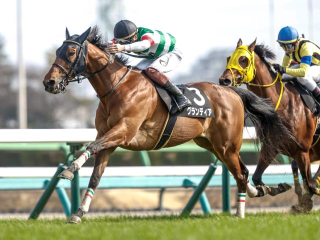 【有力馬動向】グランディアが今年も函館記念へ/馬三郎のつぶやき
