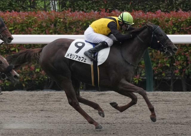 【川崎競馬　関東オークス】メモリアカフェが3連勝で重賞初V　柄崎師は地方初参戦で偉業