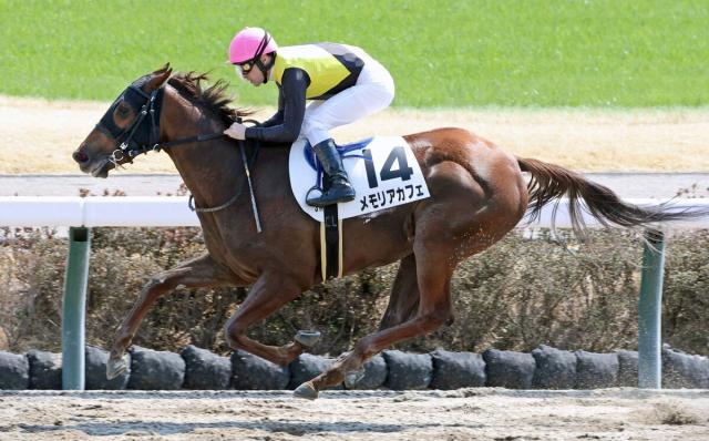 【関東オークス】断然人気メモリアカフェが楽々抜け出し、5馬身差で圧倒　3連勝　3月開業の柄崎調教師は交流重賞初V
