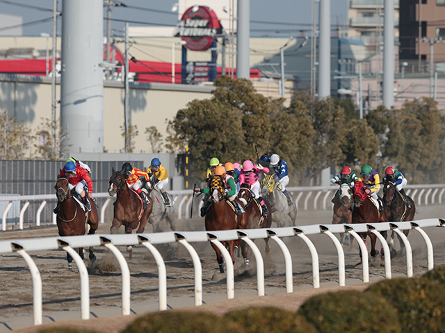 【川崎・関東オークス結果】1番人気メモリアカフェが5馬身差圧勝！3連勝で重賞初制覇