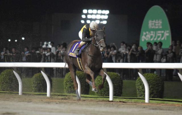 【川崎競馬　関東オークス】メモリアカフェが3連勝で重賞初V　圧巻の5馬身差　柄崎師は地方初参戦で偉業