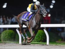 1番人気のメモリアカフェが制した(撮影：高橋正和)