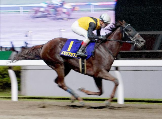 【関東オークス】「僕はただのパッセンジャー」メモリアカフェが5馬身差で楽勝　ルメール騎手と3連勝で重賞初V