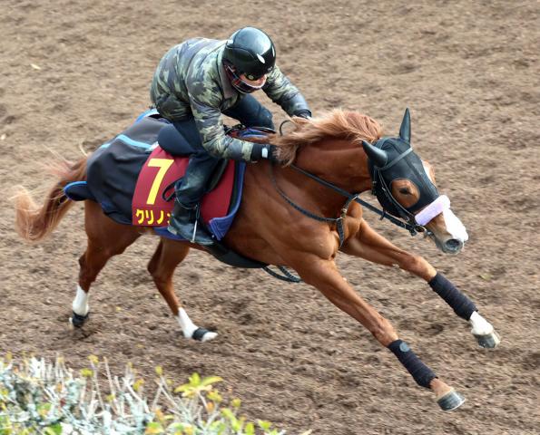 【関東オークス】名古屋の伏兵コパノエミリアが2着　吉村智洋騎手「操縦性のいい馬」　初ダートのクリノメイは4着