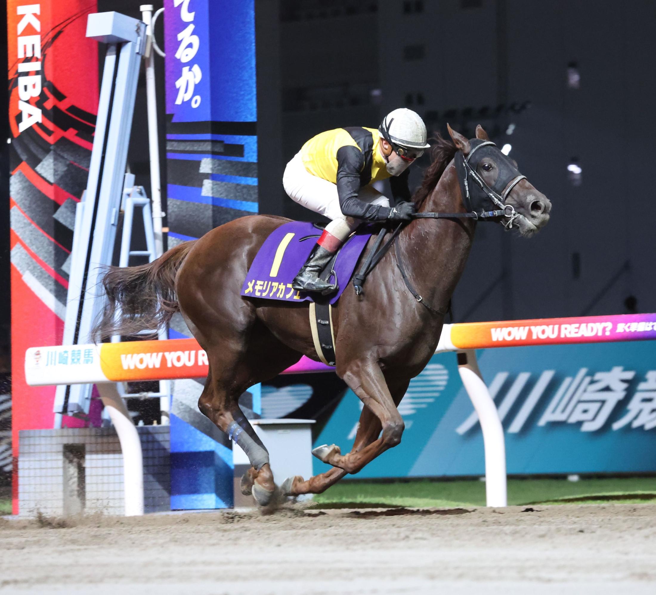 【地方競馬】メモリアカフェが関東オークスで重賞初制覇　ルメールも絶賛「ただのパッセンジャーだった」