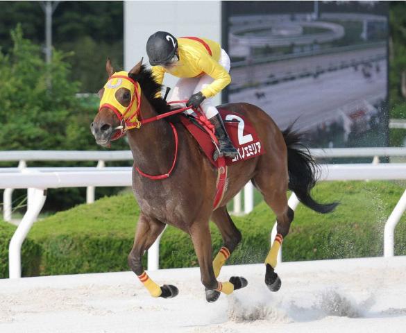 グランダム・ジャパン3歳シーズンはコパノエミリアが総合優勝