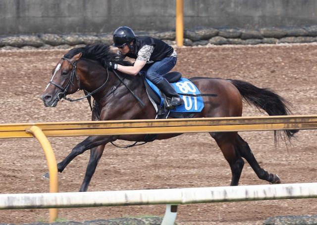 【しらさぎS】ラケマーダ“梅雨明け”歓迎!CW好反応でラスト1F12秒0　千田師も納得
