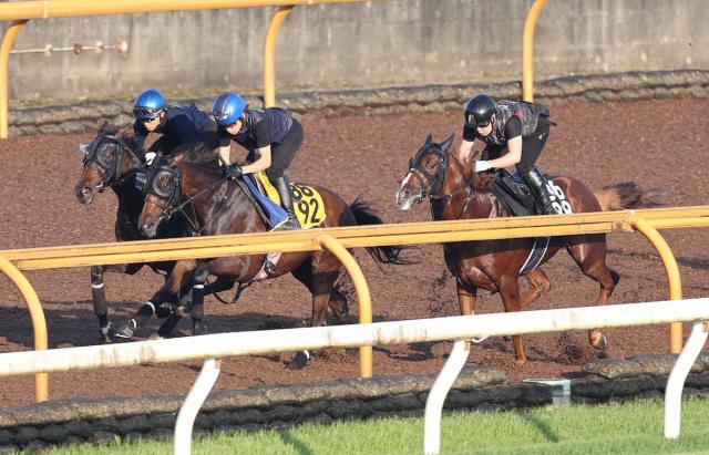 【府中牝馬S】タガノエルピーダ　息遣い&動き◎　団野「いい感じでハミを取っていた」