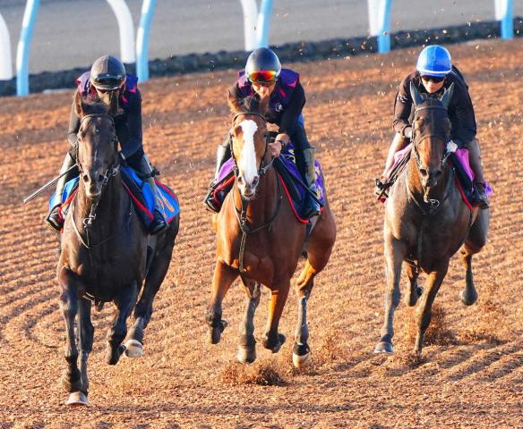 【しらさぎS】2冠牝馬チェルヴィニア鋭伸!女王復活へ精力的な3頭併せでラスト1F11秒2　