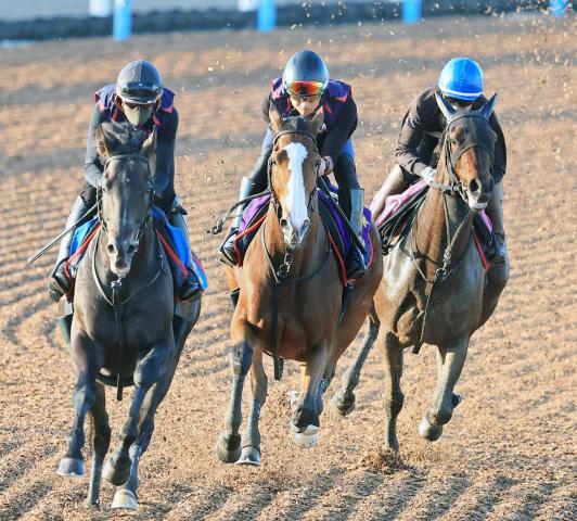 【しらさぎS】24年2冠牝馬が巻き返しへ仕上がり不安なし「近走で足りなかったものが少し戻ってきた」