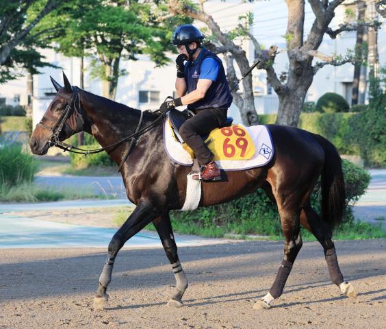 【府中牝馬S】「格段に良くなっていますよ」遅れてきた大物が重賞タイトル獲得へ抜群の動き