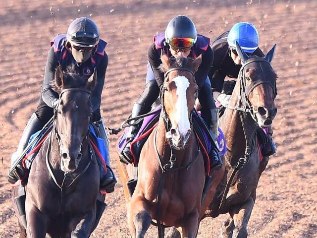 【しらさぎＳ】チェルヴィニア　切れ味上々　久々マイル戦で輝き取り戻す　太田助手「ここ何戦かで見られなかったシャープさ」